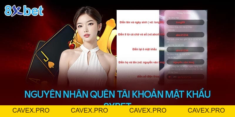 Quên Tài Khoản Mật Khẩu 8XBET Phải Làm Sao? Cách Lấy Lại? - Cavex