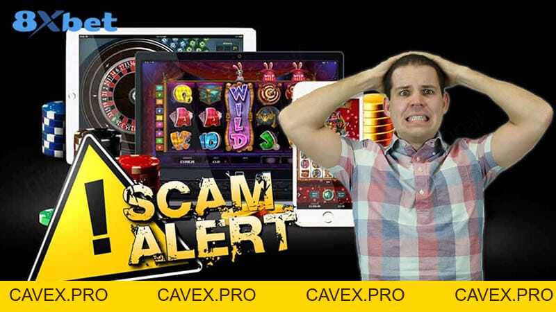 Nhà cái 8xbet uy tín không? Có nên tham gia cá cược? - 8xbet.international - Cavex