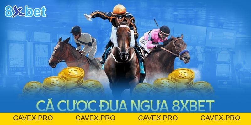 8xbet Blogs | Nền Tảng Cá Cược Trực Tuyến Hàng Đầu Việtnam - Cavex