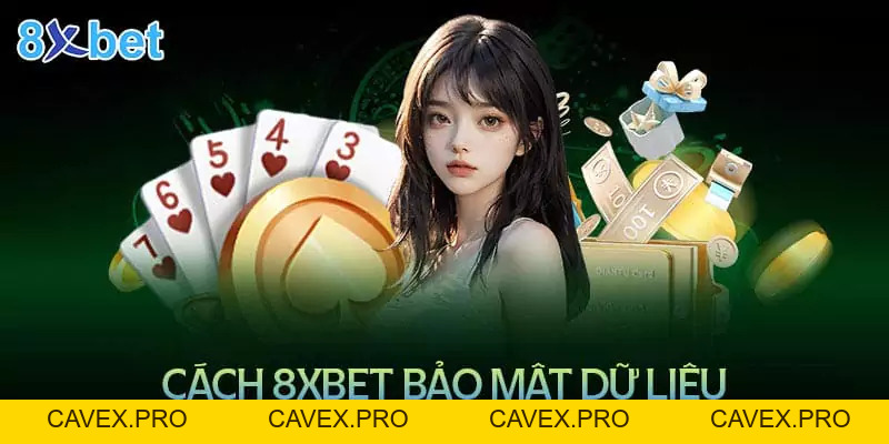 8xbet Blogs | Nền Tảng Cá Cược Trực Tuyến Hàng Đầu Việtnam - Cavex