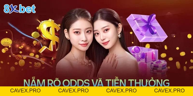 Xây Dựng Chiến Lược Cá Cược Của Bạn Với Chuyên Gia 8XBET - Cavex