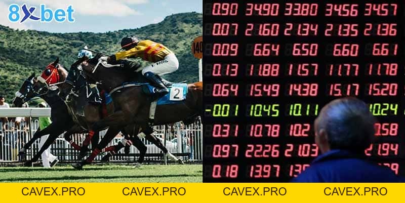 Cá cược đua ngựa: Môn thể thao vua trên 8XBet - 8xbet.international - Cavex