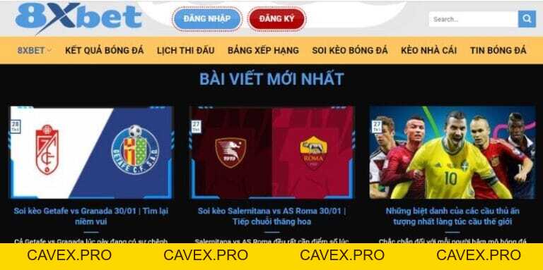 Cá Cược Bóng Đá 8XBET - Tỷ Lệ Thắng Cao & Khuyến Mãi Hấp Dẫn - Cavex
