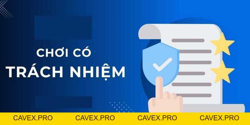 Tầm Quan Trọng Của Chơi Có Trách Nhiệm Tại 8XBET - 8xbet.international - Cavex