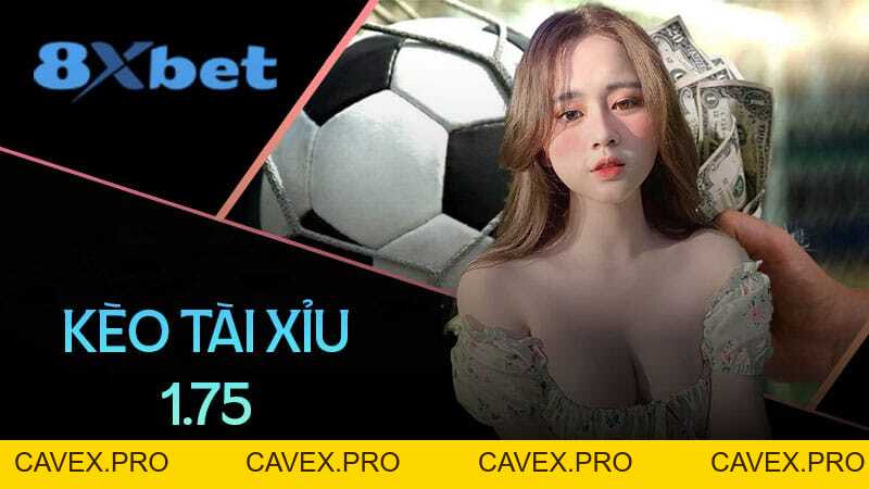 8xbet Blogs | Nền Tảng Cá Cược Trực Tuyến Hàng Đầu Việtnam - Cavex