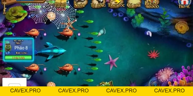8XBET – Bí Kíp Bắn Cá Hay Dành Cho Bạn 2026 - Cavex