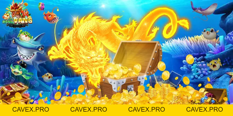 8XBET – Bí Kíp Bắn Cá Hay Dành Cho Bạn 2026 - Cavex