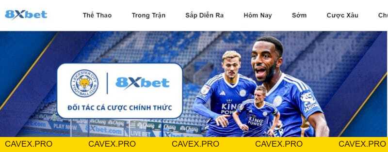 8xbet Blogs | Nền Tảng Cá Cược Trực Tuyến Hàng Đầu Việtnam - Cavex