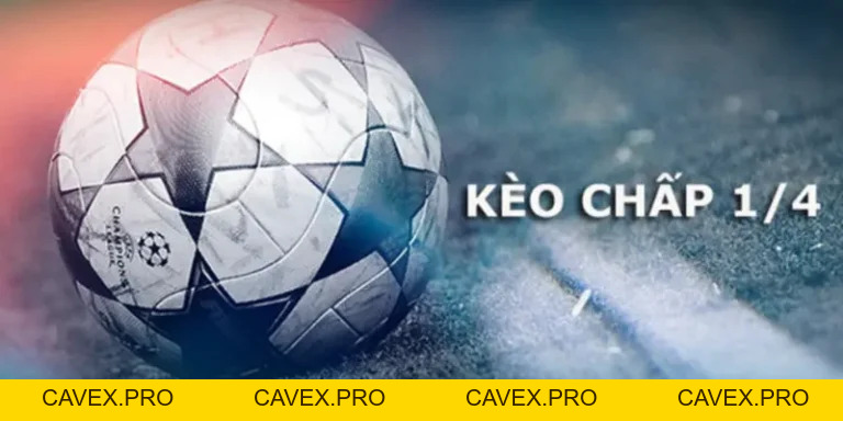 8XBET Casino - Sòng Bạc Uy Tín Với Hàng Trăm Trò Chơi - Cavex