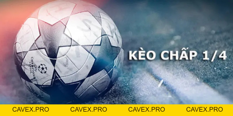 8xbet Blogs | Nền Tảng Cá Cược Trực Tuyến Hàng Đầu Việtnam - Cavex