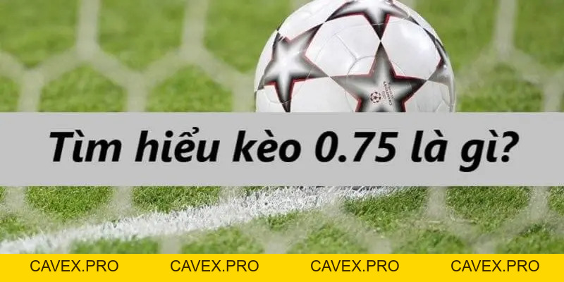 8xbet Blogs | Nền Tảng Cá Cược Trực Tuyến Hàng Đầu Việtnam - Cavex