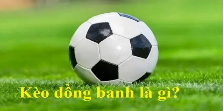 8XBET Casino - Sòng Bạc Uy Tín Với Hàng Trăm Trò Chơi - Cavex