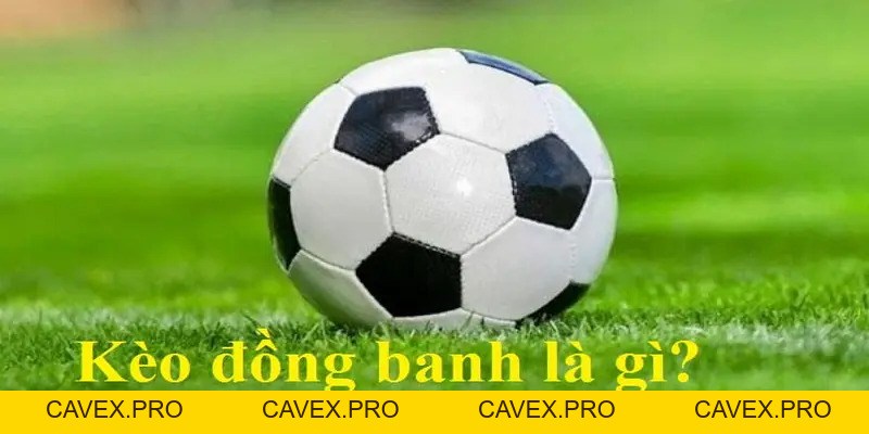 8xbet Blogs | Nền Tảng Cá Cược Trực Tuyến Hàng Đầu Việtnam - Cavex