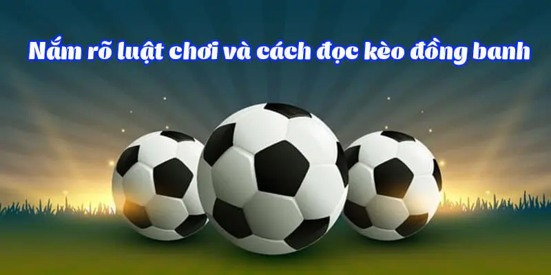 Phương pháp cá cược chấp tại 8xbet năm 2026 - Cavex