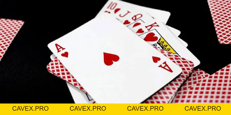 Sâm Lốc 8XBET - Game Bài Đổi Thưởng Được Yêu Thích Nhất - Cavex