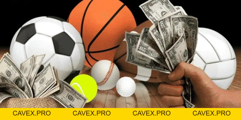8xbet Hướng Dẫn Cách Đặt Cược Thể Thao Trực Tuyến Hợp Pháp - Cavex