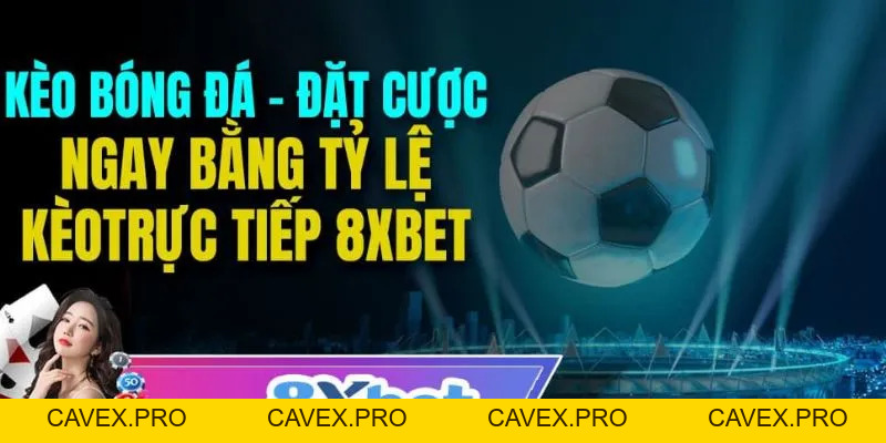 8xbet Bật Mí Cách Áp Dụng Tỷ Lệ Kèo Bóng Đá Khi Cá Cược - Cavex
