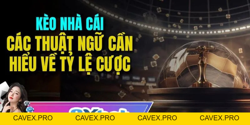 8xbet Bật Mí Cách Áp Dụng Tỷ Lệ Kèo Bóng Đá Khi Cá Cược - Cavex