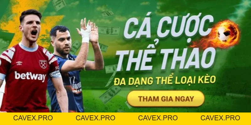 8xbet Hướng Dẫn Cách Đặt Cược Thể Thao Trực Tuyến Hợp Pháp - Cavex