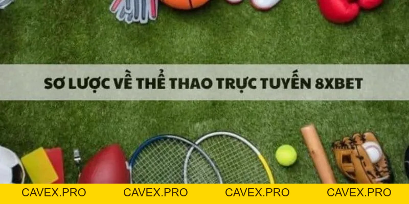 8xbet Hướng Dẫn Cách Đặt Cược Thể Thao Trực Tuyến Hợp Pháp - Cavex