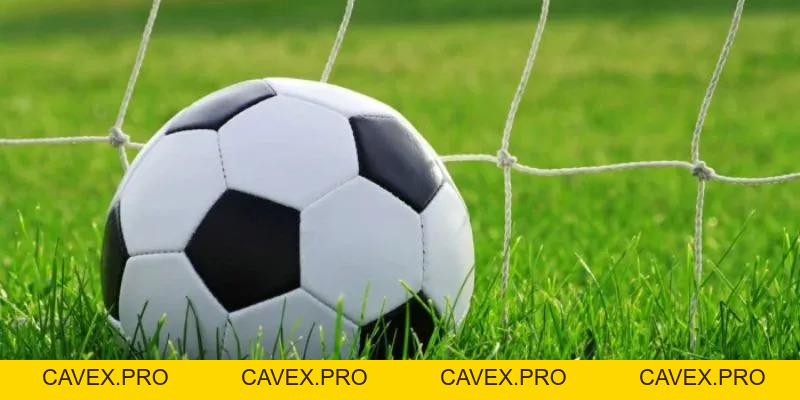 Lợi Thế Khi Tham Gia Cá Cược Bóng Đá Trên 8XBET Miễn Phí - Cavex