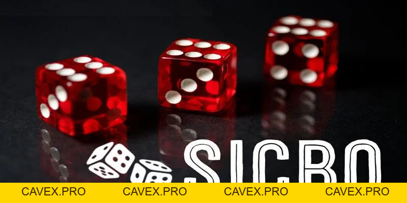 8xbet Blogs | Nền Tảng Cá Cược Trực Tuyến Hàng Đầu Việtnam - Cavex