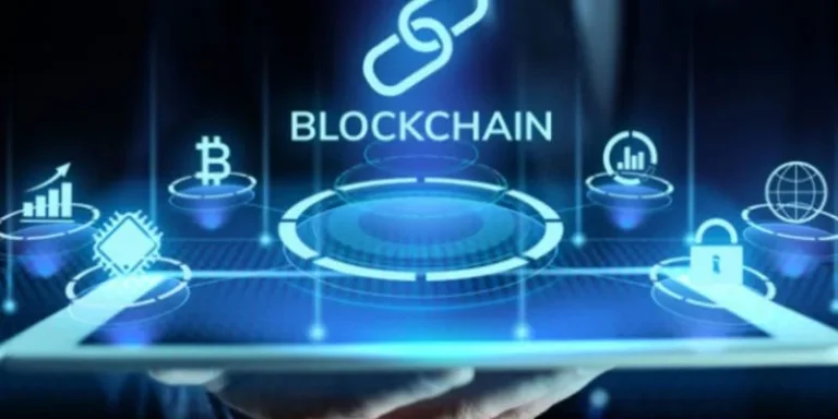 8XBET Casino - Sòng Bạc Uy Tín Với Hàng Trăm Trò Chơi - Cavex