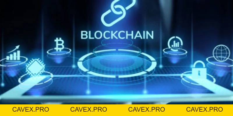 8xbet Blogs | Nền Tảng Cá Cược Trực Tuyến Hàng Đầu Việtnam - Cavex