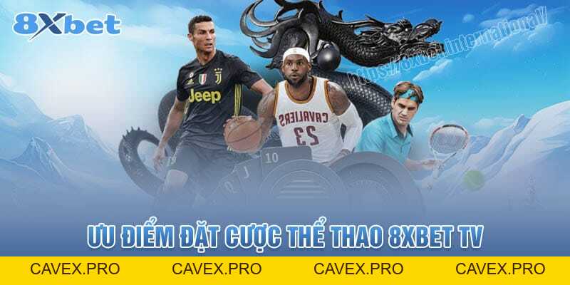 8XBet TV, Cá Cược Thể Thao Đáng Tin Cậy Với Tốc Độ Tải - Cavex