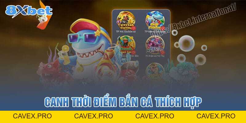 Mở Khóa Điểm Cao Trong Trò Chơi Bắn Cá Với Những Mẹo Này - Cavex