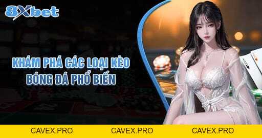 Cá Cược Bóng Đá 8XBET - Tỷ Lệ Thắng Cao & Khuyến Mãi Hấp Dẫn - Cavex