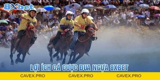 Những sai lầm phổ biến cần tránh khi cá cược đua ngựa - Cavex
