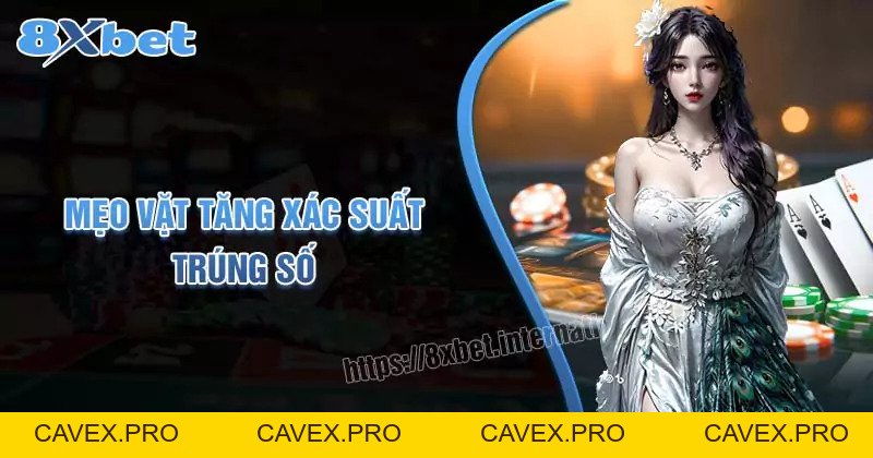 8xbet Blogs | Nền Tảng Cá Cược Trực Tuyến Hàng Đầu Việtnam - Cavex