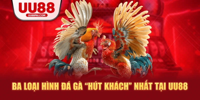 Đá Gà UU88 – Sảnh Giải Trí Thượng Hạng Cho Kê Thủ - Cavex