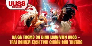 Đá Gà UU88 – Sảnh Giải Trí Thượng Hạng Cho Kê Thủ - Cavex