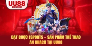 Thể Thao UU88 – Sân Chơi Cá Cược Đỉnh Cao Cho Người Đam Mê - Cavex