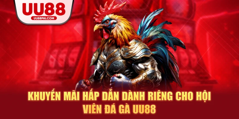 Đá Gà UU88 – Sảnh Giải Trí Thượng Hạng Cho Kê Thủ - Cavex