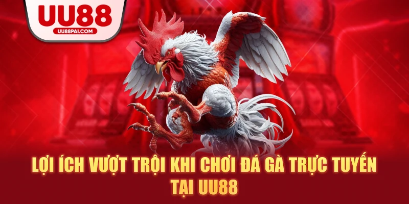 Đá gà trực tuyến tại UU88 – Cá cược chuyên nghiệp, minh bạch và hấp dẫn - Cavex