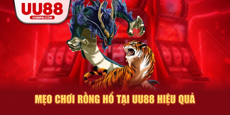 Rồng Hổ UU88 – Trò Chơi Đẳng Cấp, Ăn Tiền Nhanh Chóng - Cavex