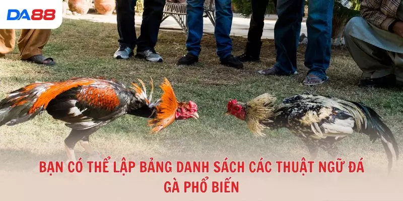 Từ A đến Z các thuật ngữ đá gà phổ biến trong sới gà hiện nay 2026 - Cavex