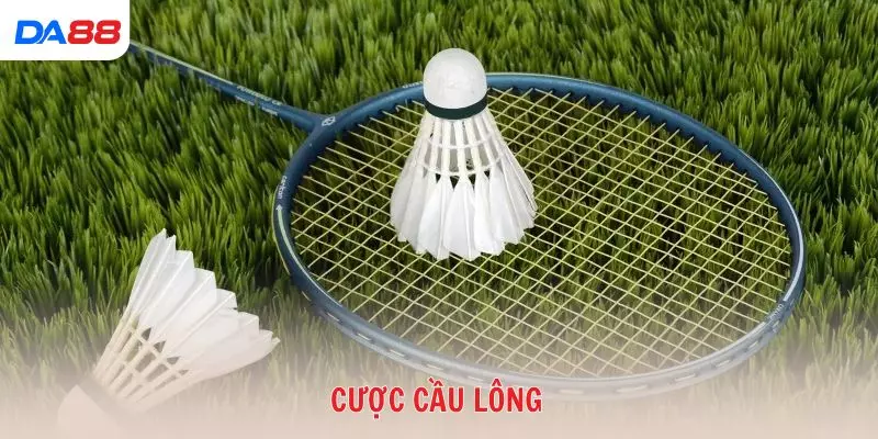 Top chiến thuật giúp bạn luôn lợi thế khi cược cầu lông 2026 - Cavex