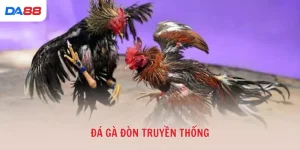 Kinh nghiệm - DA88 - Cavex