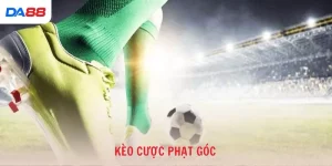 Kinh nghiệm - DA88 - Cavex