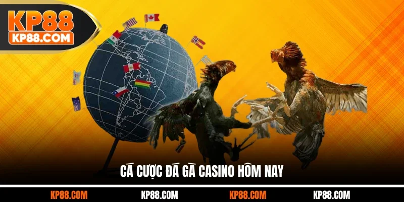 Đá Gà Casino Hôm Nay - Thế Giới Cá Cược Đặc Sắc Tại KP88 - Cavex