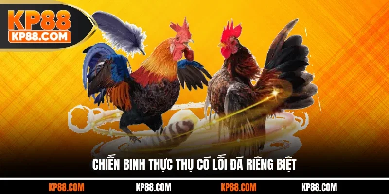 Kinh Nghiệm Chọn Chiến Kê Chuẩn Xác Cho Khách Hàng 2026 - Cavex