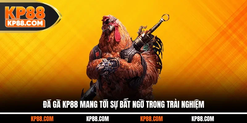Đá Gà KP88 – Sảnh Cược Trực Tuyến Được Yêu Thích 2026 - Cavex