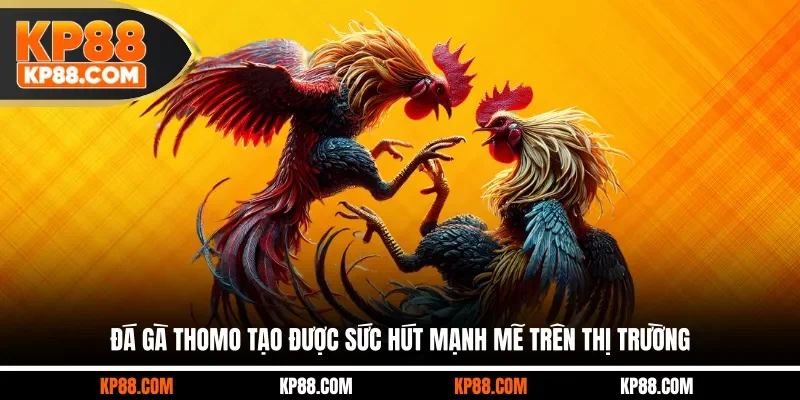 Đá Gà Thomo - Trường Chọi Gà Đỉnh Cao Số 1 Châu Á 2026 - Cavex