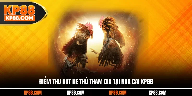 Đá Gà KP88 – Sảnh Cược Trực Tuyến Được Yêu Thích 2026 - Cavex