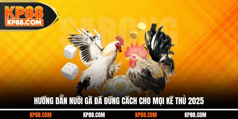 Đá Gà Thomo - Trường Chọi Gà Đỉnh Cao Số 1 Châu Á 2026 - Cavex
