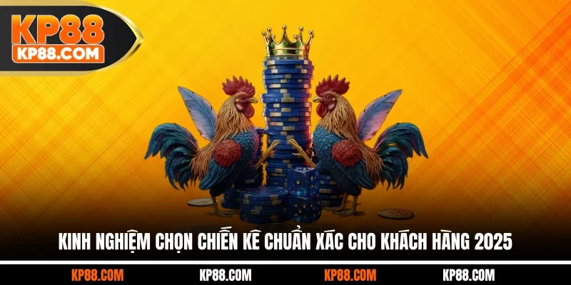 Đá Gà Thomo - Trường Chọi Gà Đỉnh Cao Số 1 Châu Á 2026 - Cavex